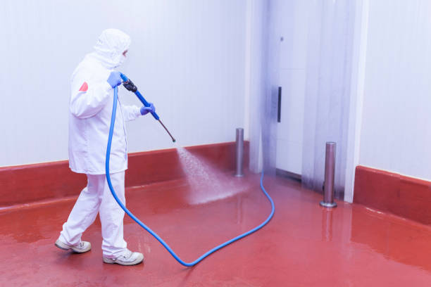 Best Spring Cleaning  in Phillips, WI